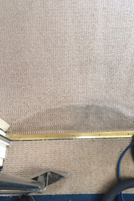 Carpet Cleaning Plymouth, Office Carpet Cleaning Plymouth, Commercial Carpet Cleaning Contractors, Steam Carpet Cleaning Plymouth, Regular Carpet Cleaning Contracts Plymouth, Bickford Carpet Cleaning Services Plymouth